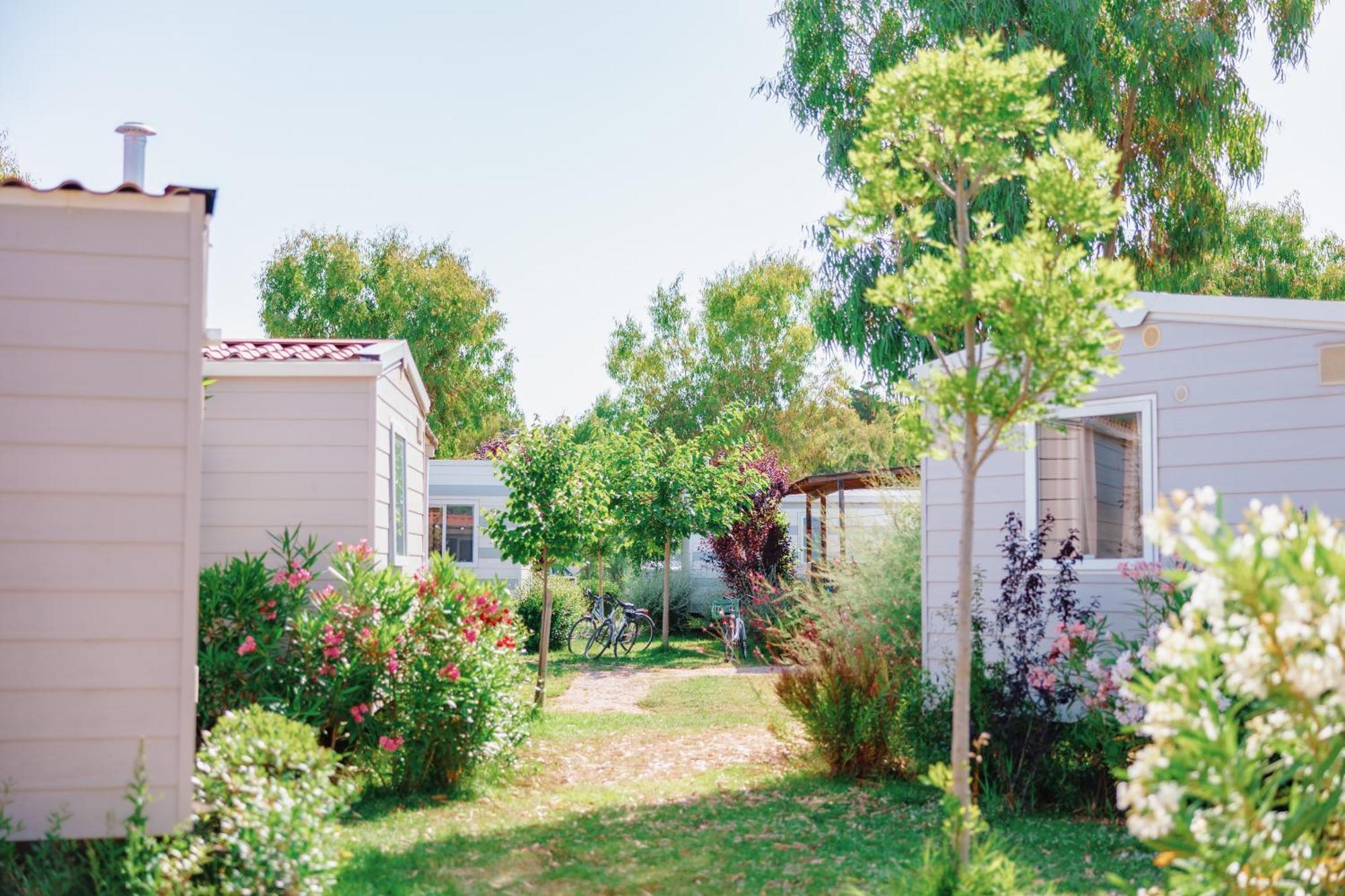 Toscana Bella Camping Village Vada Ngoại thất bức ảnh