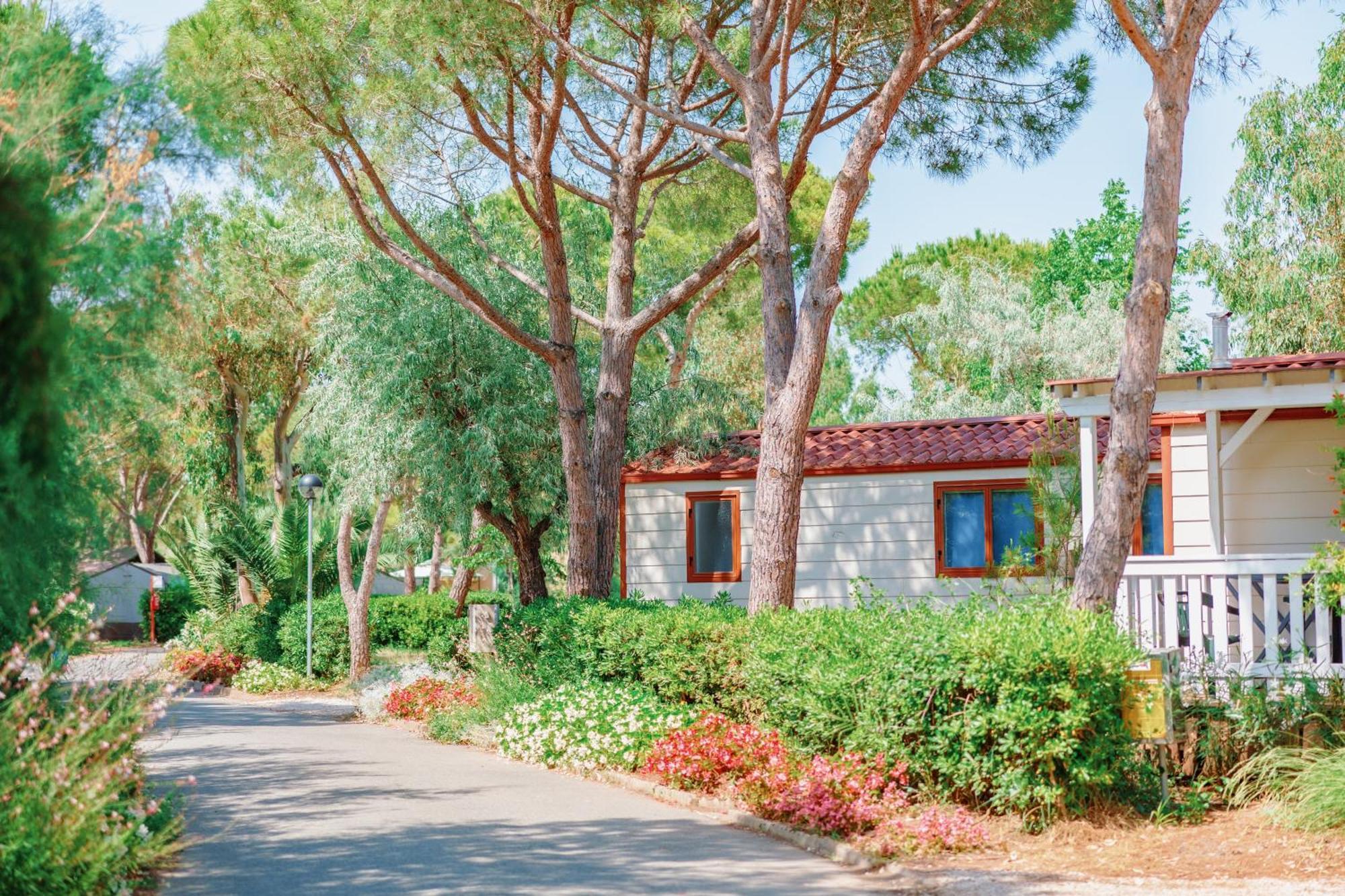Toscana Bella Camping Village Vada Ngoại thất bức ảnh