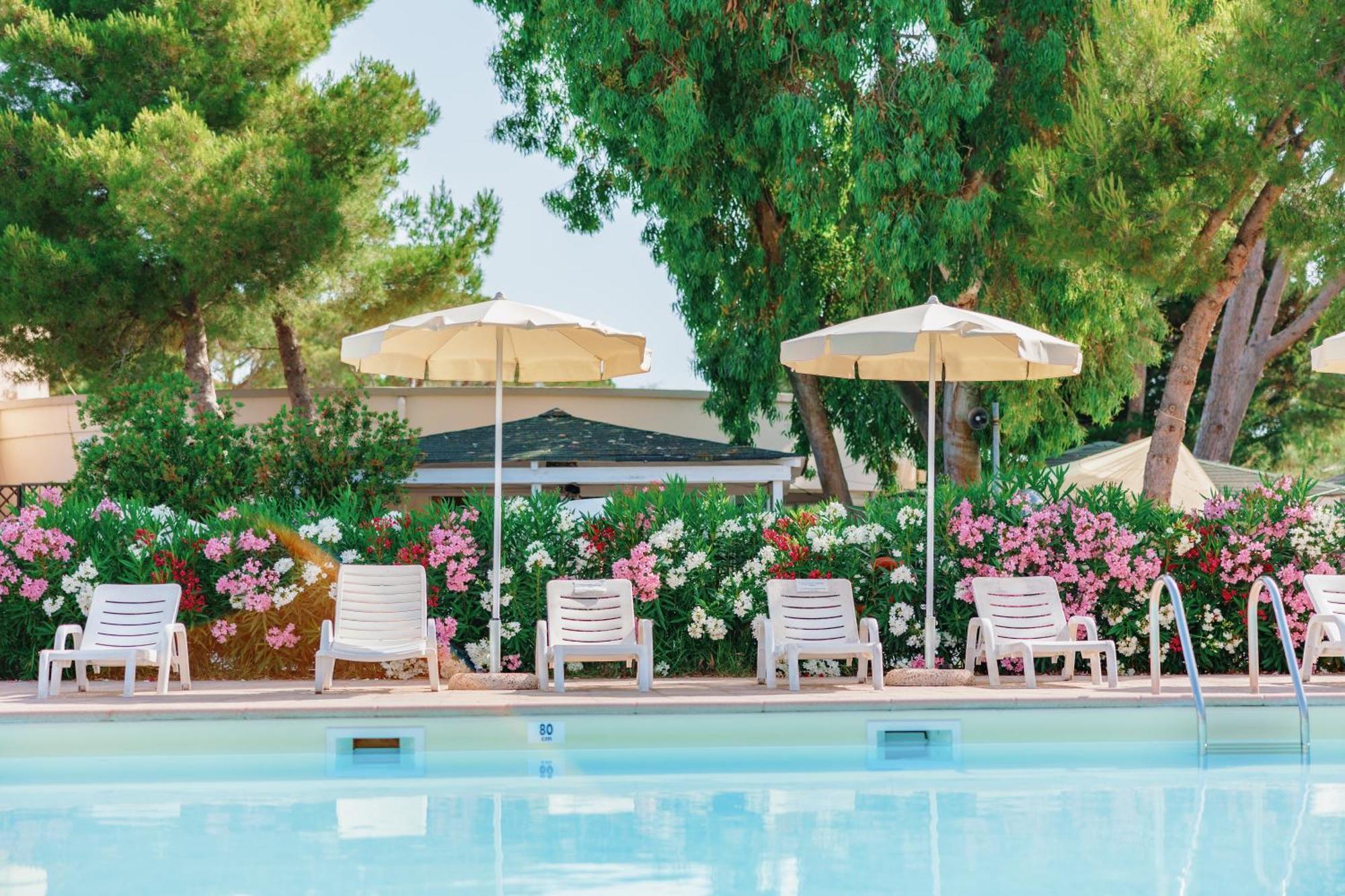 Toscana Bella Camping Village Vada Ngoại thất bức ảnh