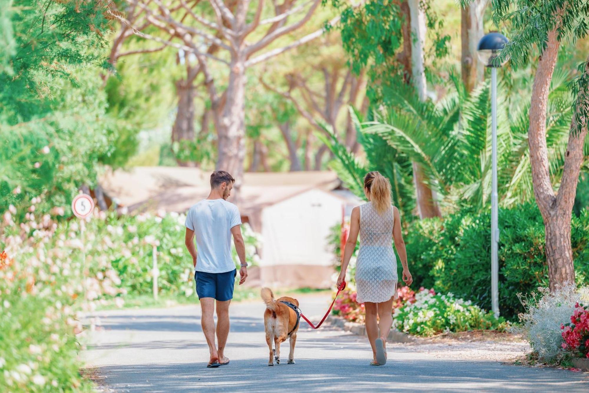 Toscana Bella Camping Village Vada Ngoại thất bức ảnh