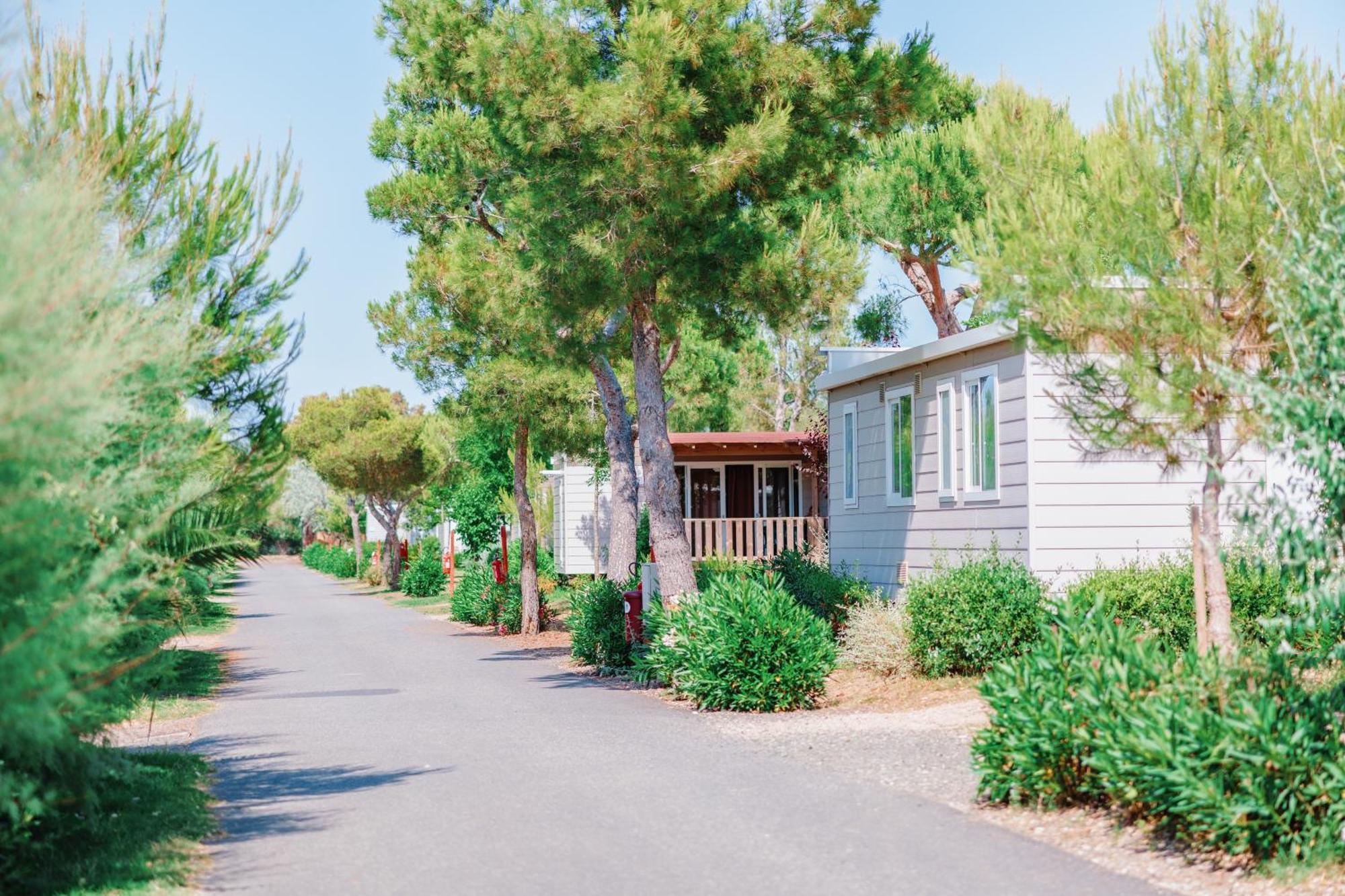 Toscana Bella Camping Village Vada Ngoại thất bức ảnh