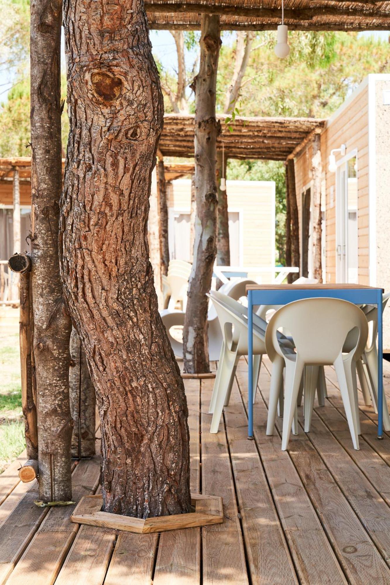 Toscana Bella Camping Village Vada Ngoại thất bức ảnh